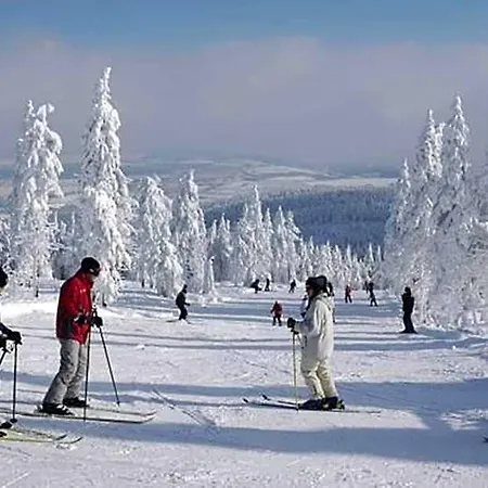 Hotel Horsky Arnica Loučná pod Klínovcem